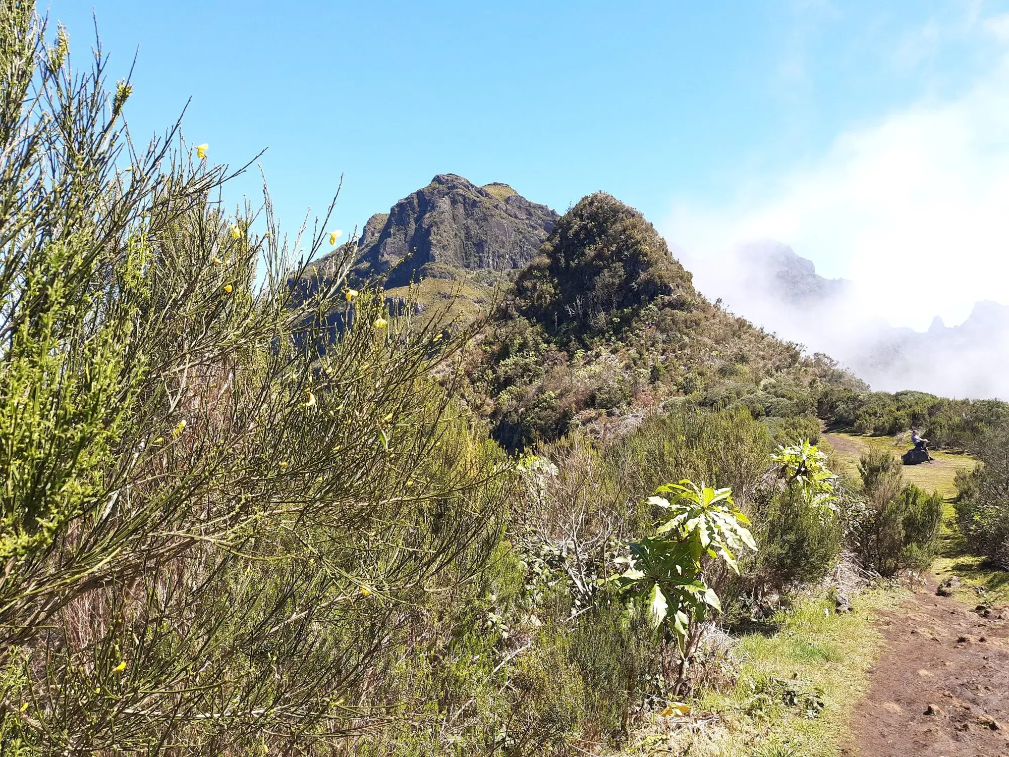 Mountain saddle towards Pico Grande on PR 1.3 at Encumeada