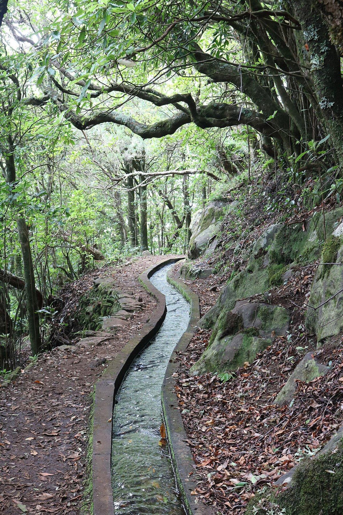 Levada dos Cedros (PR 14)
