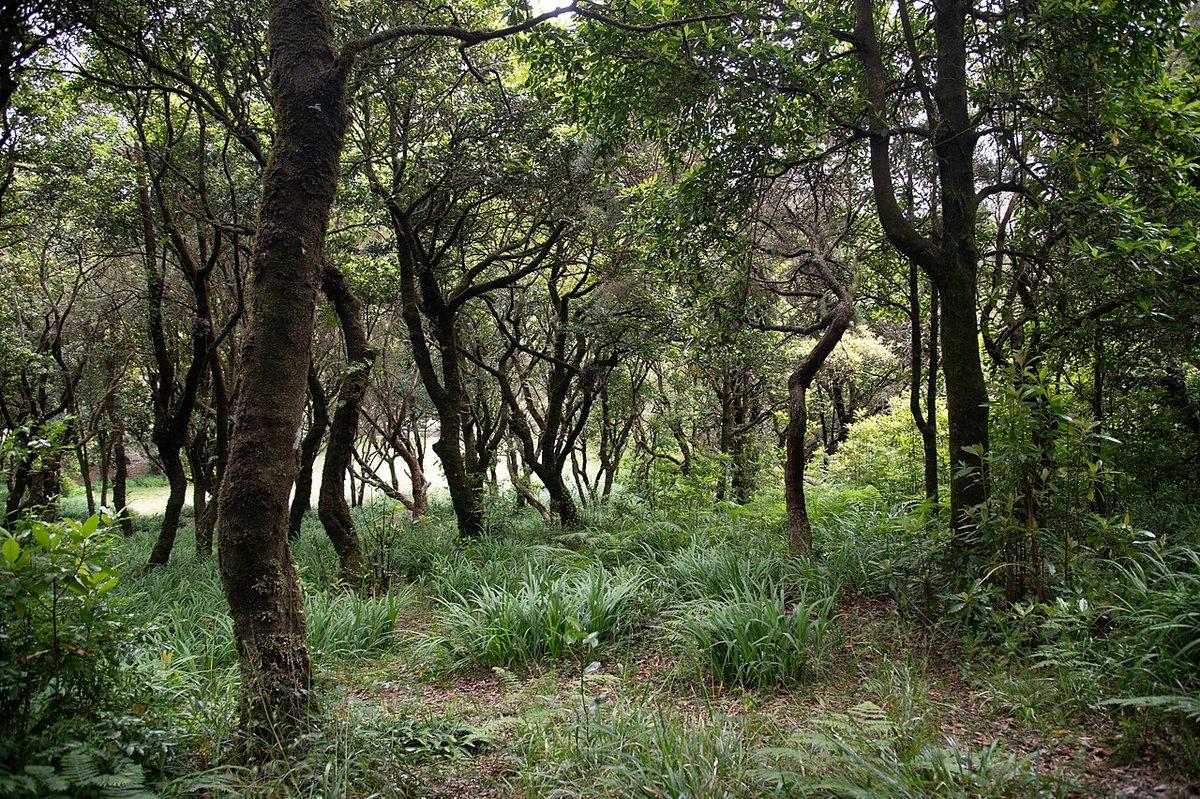 Vereda do Chão dos Louros (PR 22)