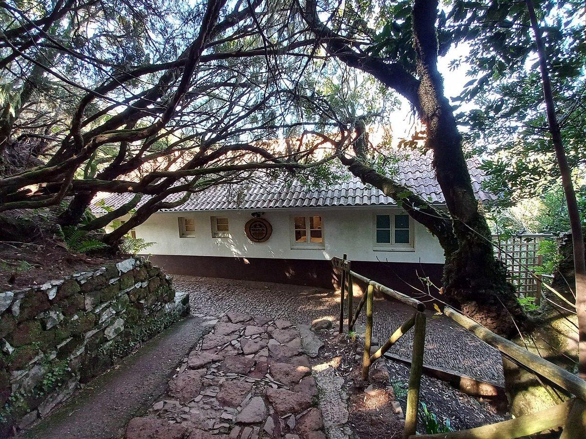 Levada do Risco (PR 6.1)