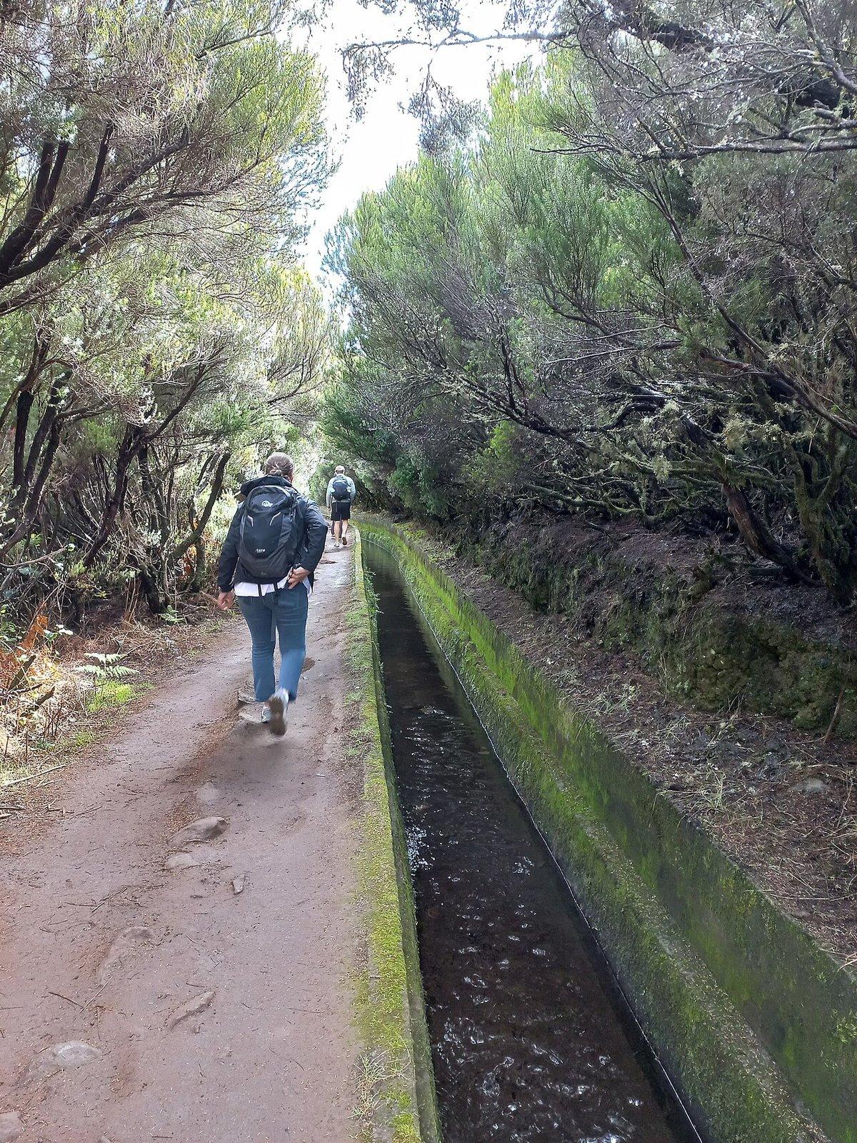 Levada do Alecrim (PR 6.2)