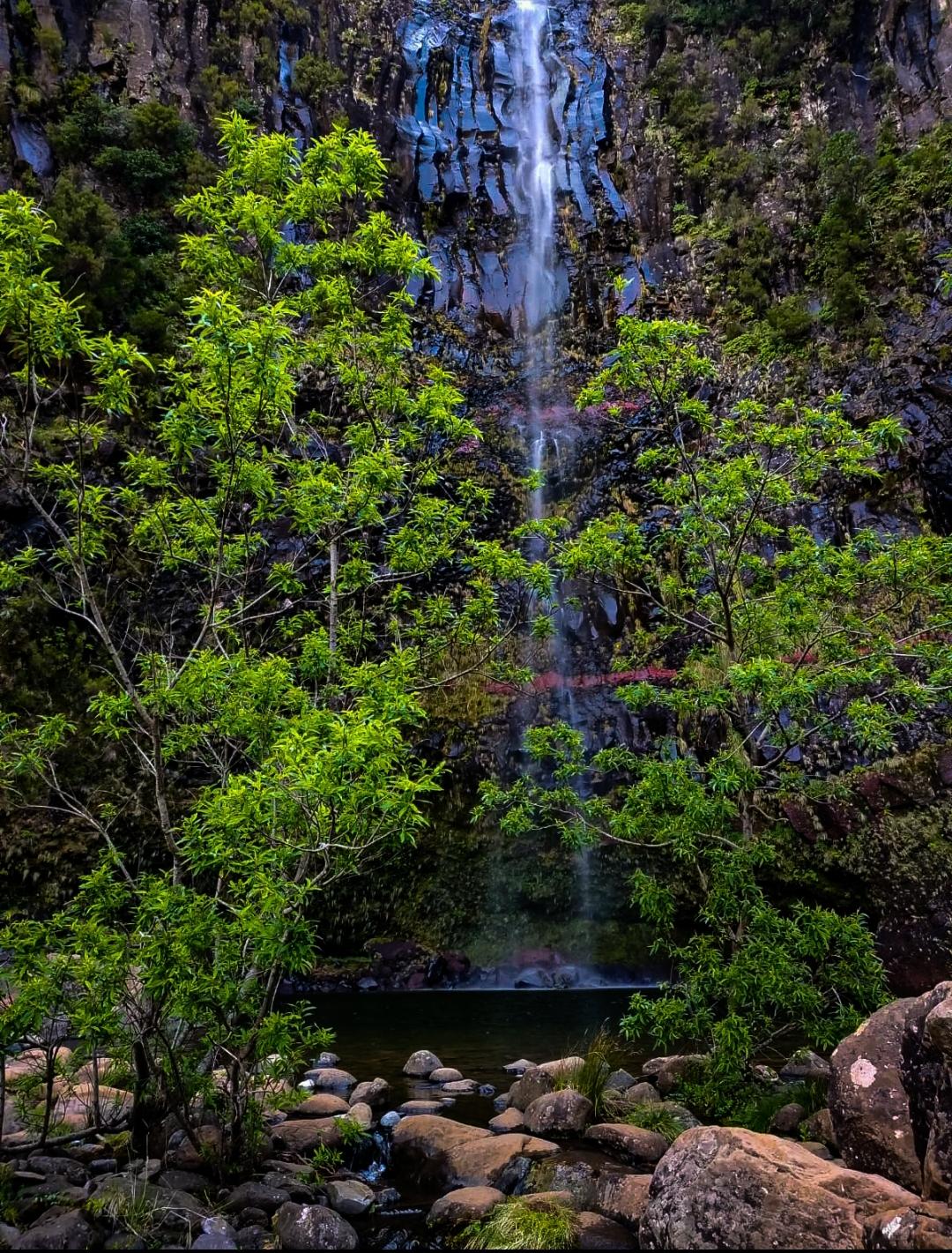 Vereda da Lagoa do Vento (PR 6.3)