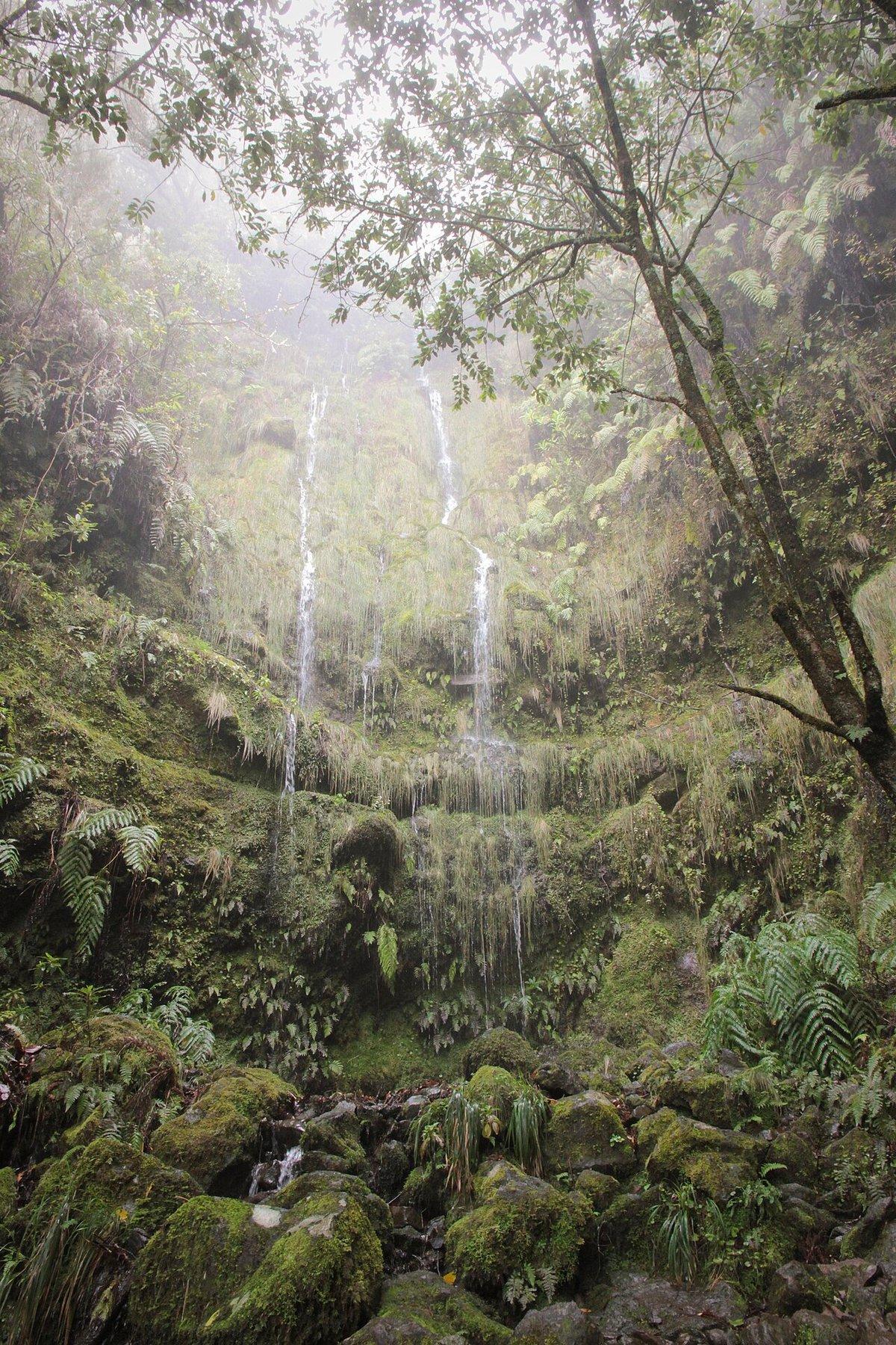 Levada do Caldeirão Verde - Um Caminho para todos (PR 9.1)
