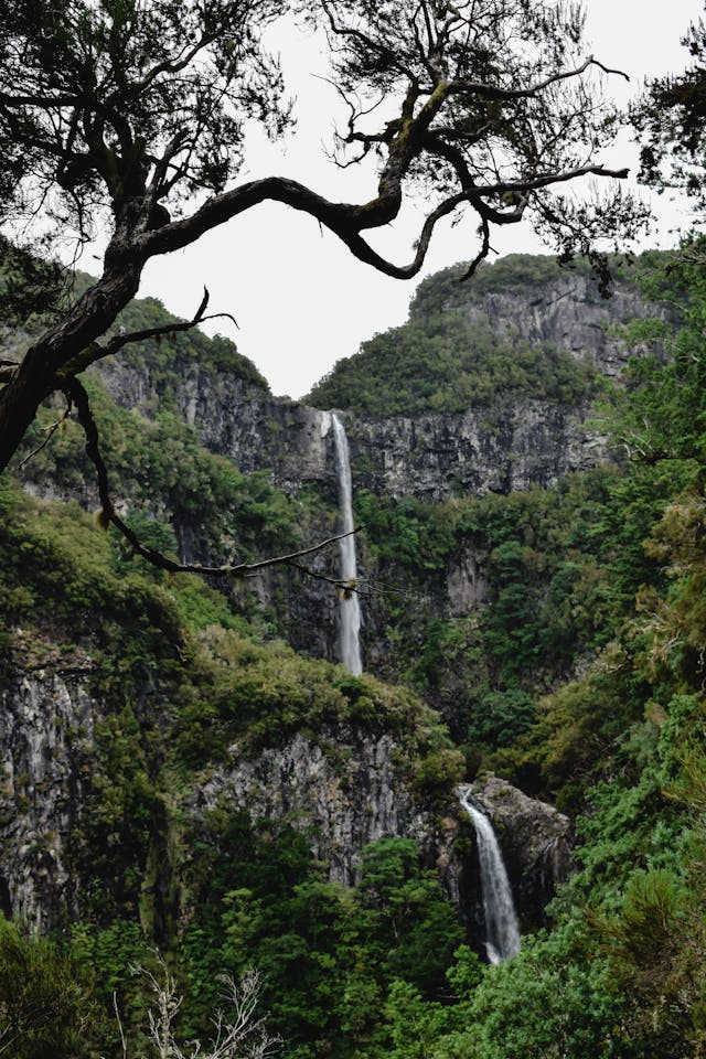Levada do Furado (Ribeiro Frio – Portela) trail scenery