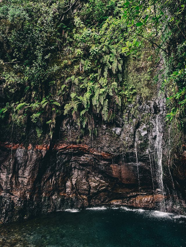 Levada do Caldeirão Verde – Um Caminho para Todos trail scenery